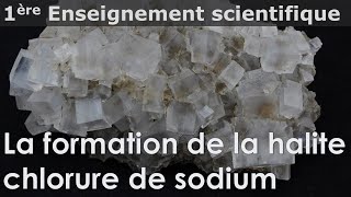 Cristaux  la formation de la halite  chlorure de sodium  Enseignement scientifique  1ère [upl. by Imerej]