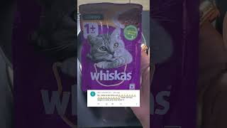 Cat 🐈food dalgona candy 🐱pass or fail PragatiVermaa MamtaVerma [upl. by Vogel]