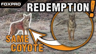 Redemption Coyote Double  Coyote Hunting [upl. by Yremogtnom]