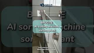 brucite sorting plantselect impurities and grading with AI sorting machines mineralsorting ore [upl. by Yuria]