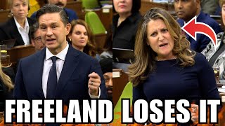 Pierre Poilievre Makes Freeland LOSE IT In Parliament [upl. by Analli]