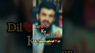 Dil❤ Ka Sakoon shortsfeed viralshorts shortsmotivation trendingshortsalibhae [upl. by Ardnac669]