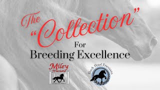 The quotCollectionquot for Breeding Excellence [upl. by Kcirde]