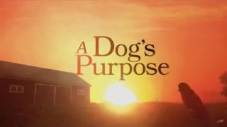 A Dogs Purpose 2017  Soundtrack  fan made [upl. by Philps]