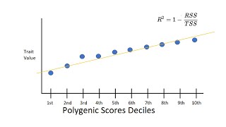 Polygenic Scores  GenomeWide Association Studies Explained Simply Part 5 [upl. by Skurnik150]