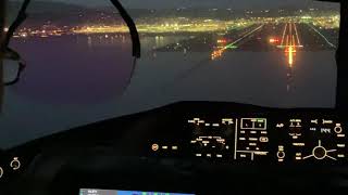 Cockpit View of Landing the 787 Dreamliner [upl. by Olihs]