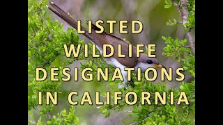 Listed Wildlife Designations in California [upl. by Shaper]