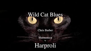 Wild Cat Blues“ Cats Cats Cats Harmonica by Harproli [upl. by Akirahc]