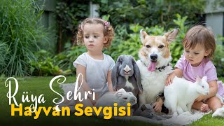 Rüya Şehri  Hayvan Sevgisi Çocuk Şarkısı [upl. by Maia]