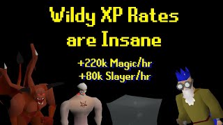 Wilderness Slayer XP Rates are Insane [upl. by Atinaej]