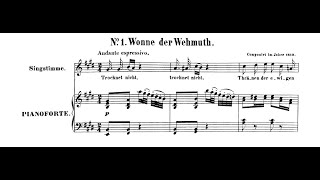 Wonne Der Wehmuth  LvBeethoven piano  KARAOKE Accompaniment Mr 반주 [upl. by Adnical]