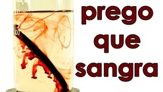 O prego que sangra SuperQUÍMICA [upl. by Eissoj]