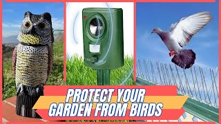 Best Bird Deterrent For Garden  Protect Your Property Without Killing Them [upl. by Eberle14]