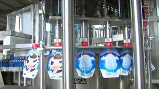 DGY4 Automatic Filling and Capping Machine for Spout Doypack Pouch [upl. by Placido278]