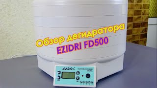 Дегидратор EZIDRI FD500 Краткий обзор сушки для фруктов и овощей Ezidri [upl. by Ssalguod]