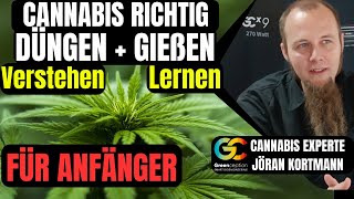 Cannabis Anbauen richtiger Dünger und gießen Nährstoffmangel Überdüngung Schädlinge für Anfänger [upl. by Fang873]