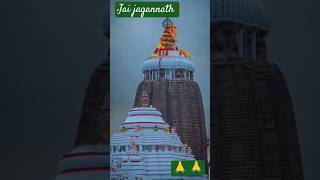 🙏 Jai jagannath 🙏shorts odia trending viralshorts ytshorts [upl. by Aspia]