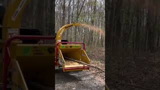 6 Inch Chipper from Home Depot [upl. by Best]