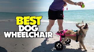 TOP 5 Best Dog Wheelchair 2023  Our Top Picks [upl. by Finlay]