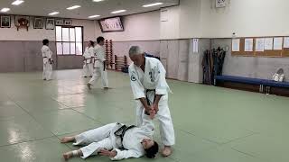 Shodokan aikido Junanahon no kata [upl. by Ayhay]