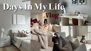 At Home  Cleaning Organizing  Cooking  MORE  Stay At Home With Me VLOG [upl. by Ydnam918]