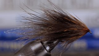 Soft Hackle Streamer [upl. by Iblok15]