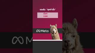 รู้จัก Llama 31 โมเดล AI ที่รองรับภาษาไทย จาก Meta llama [upl. by Kieger665]