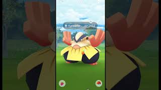 Catching Hariyama in Wild  pokemongo Gameplay shorts pokemon pokémon pogo pokemongo [upl. by Auka]