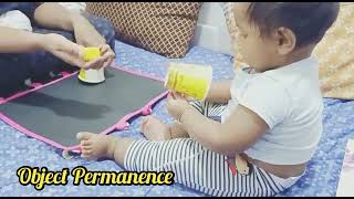 Object Permanence  1st stage Sensorimotorof Piagets cognitive development [upl. by Hopfinger]