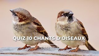 Quiz 10 Chants d’oiseaux  Partie 1 [upl. by Llenoil33]