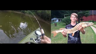 Kayak Fishing  Big Ohio Pike in a Small Creek [upl. by Neelear947]