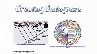 Making a Cladogram 1 [upl. by Brunn773]