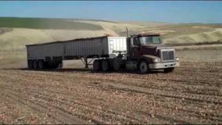 TIREBOSS™ Fully Loaded Truck amp Trailer During Potato amp Onion Harvest [upl. by Solly]