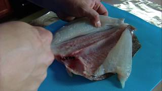 CatchClean and Cook Stuffed Flounder [upl. by Calendre]