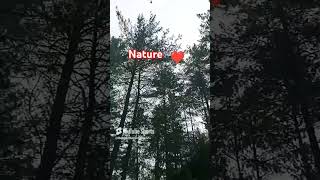 Nature ❤️ youtubeshorts viralvideo love shorts [upl. by Orpheus]