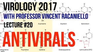 Virology Lectures 2017 20 Antivirals [upl. by Alves477]