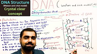 DNA  Structure of DNA in one shot  Watson and crick model  class 11  in Urdu Hindi [upl. by Nivets493]