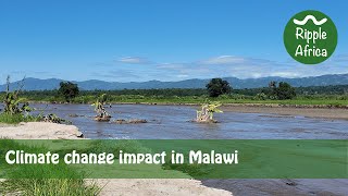 Climate change impact in Malawi  The impact on farming families [upl. by Rai]