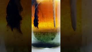 electrolysis of aqueous nacl using iron electrods chemistry ytshorts crazyxyz [upl. by Enirehs]