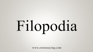 How To Say Filopodia [upl. by Natale]