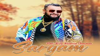 Sargam 2024  Nati King Kuldeep Sharma  Himachali songs  old pahari songs  pahari Nati [upl. by Aicenra637]