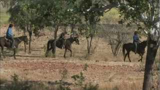 Cattle Muster Mabel Downs  Kimberley 2011 [upl. by Kirkpatrick]