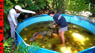 WALKING in PIRANHA FISH Filled JUNGLE POOL [upl. by Attwood]