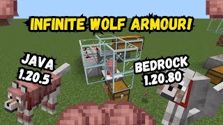 EASY Auto Armadillo Farm For INFINITE WOLF ARMOUR in Minecraft [upl. by Aennil206]