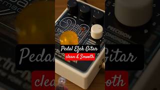 guitar guitarpedals guitarist electricpedal guitarcover fxpedals guitarsolo delaypedal [upl. by Inaleon194]