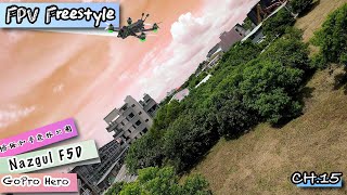 【FPV Freestyle】嘉賓  湖口【CH15】翼飛 DJI FPV AVATA Mini Pro Mavic Drone 空拍 無人機 ELRS TX16S Nazgul [upl. by Schrick]