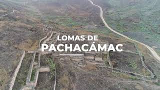 Lomas de Pachacámac 2018 [upl. by Etteloiv268]