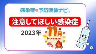 【2023年】11月に注意してほしい感染症！専門医「インフルエンザ流行規模は予測不能 溶連菌感染症の動向気がかり 季節外れの流行のアデノウイルス感染症も…」 要注意は梅毒 [upl. by Ellersick]