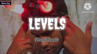 LEVELS  Sidhu Moose Wala SlowedReverb full song [upl. by Wahlstrom400]