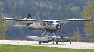 De Havilland DHC2 Beaver Takeoff [upl. by Nirrac]